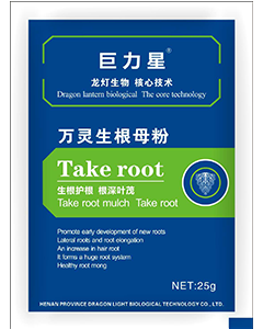万灵生根母粉