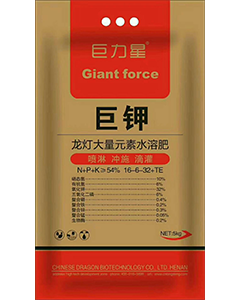 巨钾
