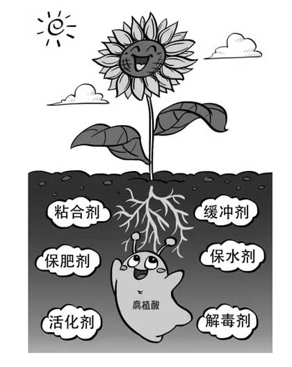 龙灯生物腐植酸肥料