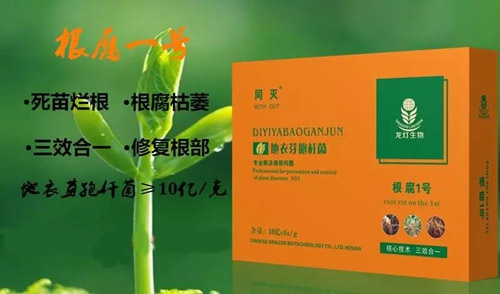 根腐病专治生物菌剂