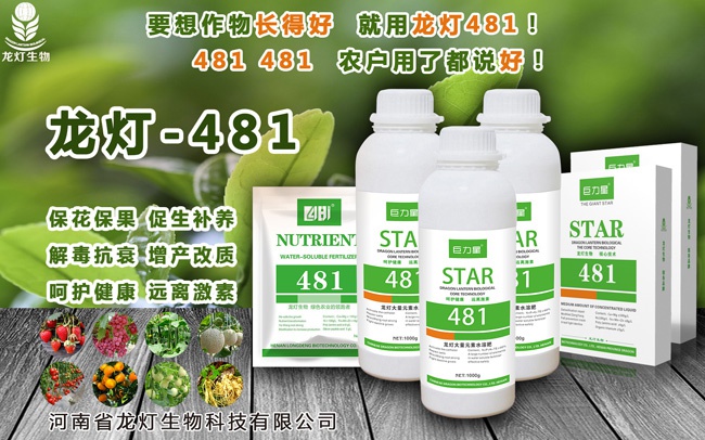 481促花保果叶面肥
