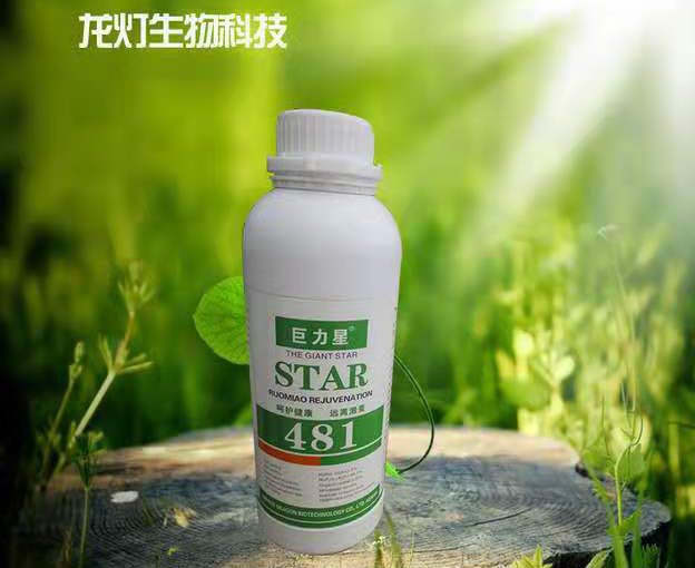 龙灯481叶面肥